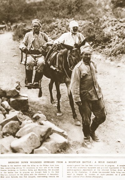 Bringing down wounded Serbians from a mountain battle: a mule cacolet by English Photographer